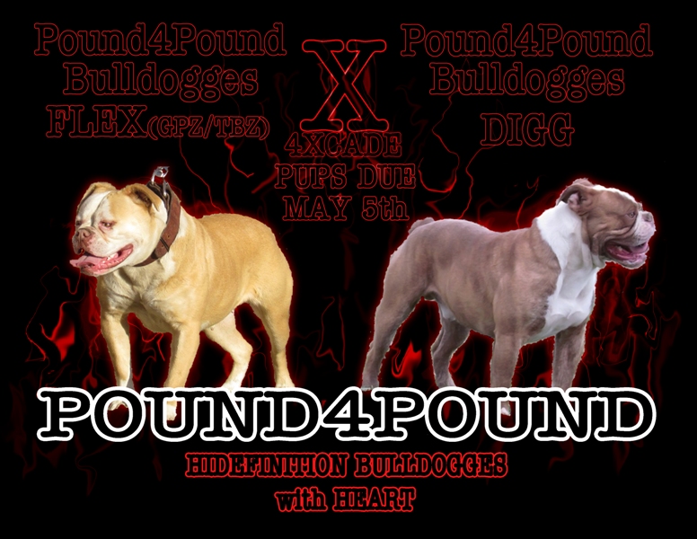 pound4pound